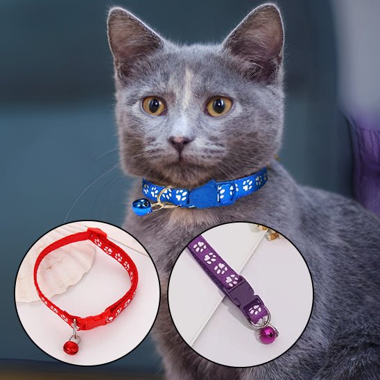 Collier avec motif de pâte pour chat - universmiaou