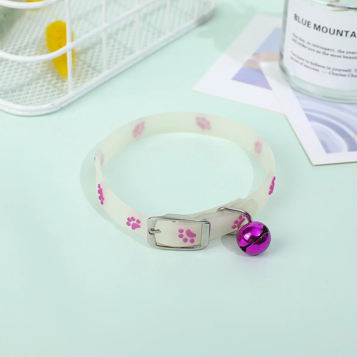 collier pour chat lumineux