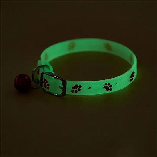 collier pour chat lumineux