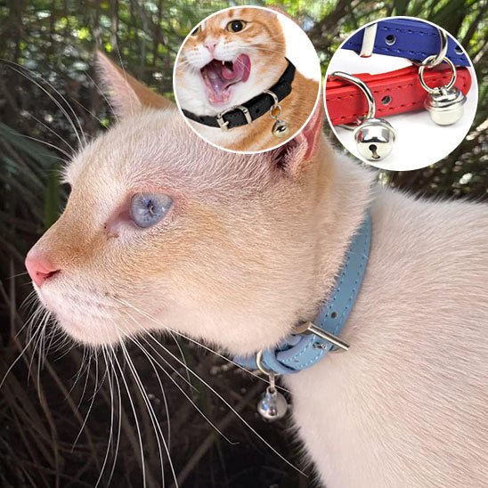 Collier de chat avec cloche en cuir - universmiaou