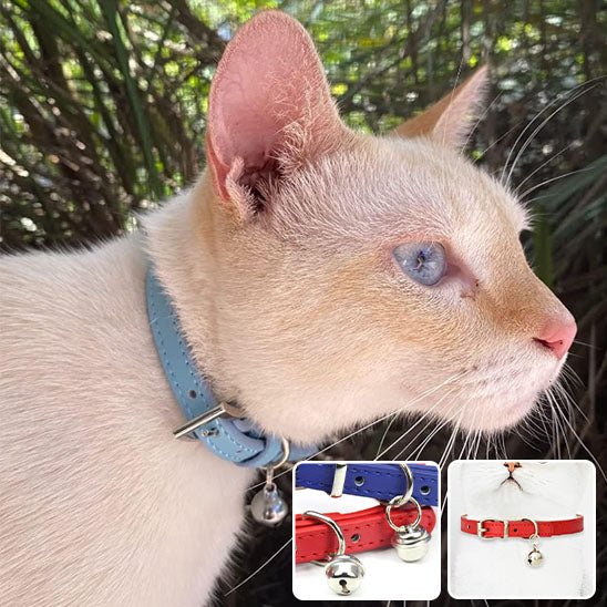 Collier de chat avec cloche en cuir - universmiaou
