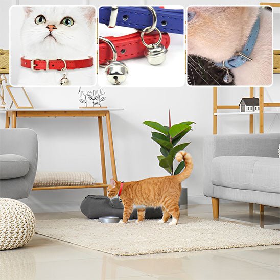 Collier de chat avec cloche en cuir - universmiaou