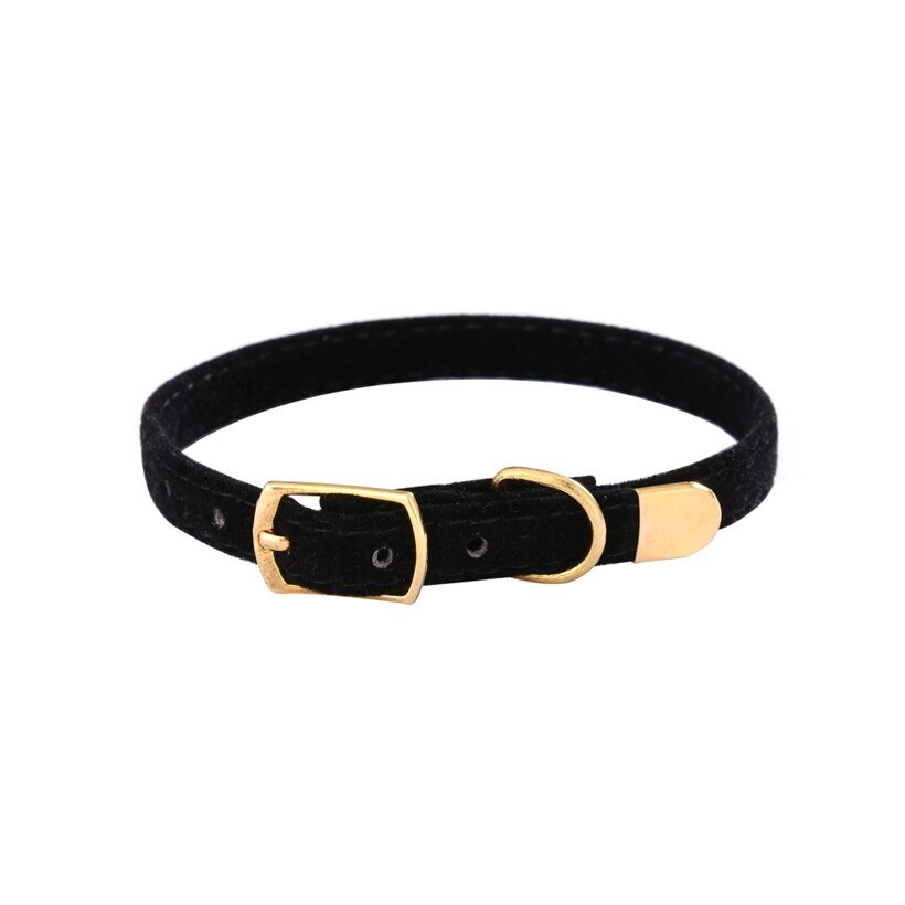 Collier de sécurité pour chat - universmiaou