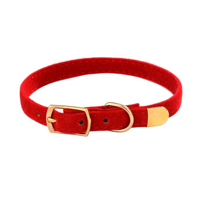 Collier de sécurité pour chat - universmiaou