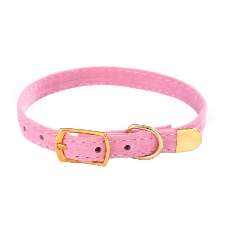 Collier de sécurité pour chat - universmiaou