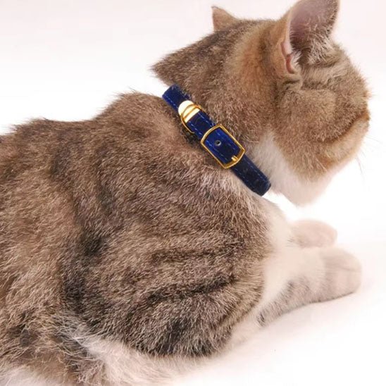 Collier de sécurité pour chat - universmiaou