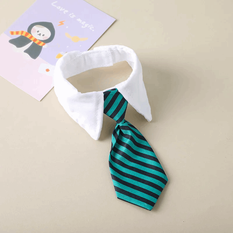 collier pour chat en forme de cravate - universmiaou