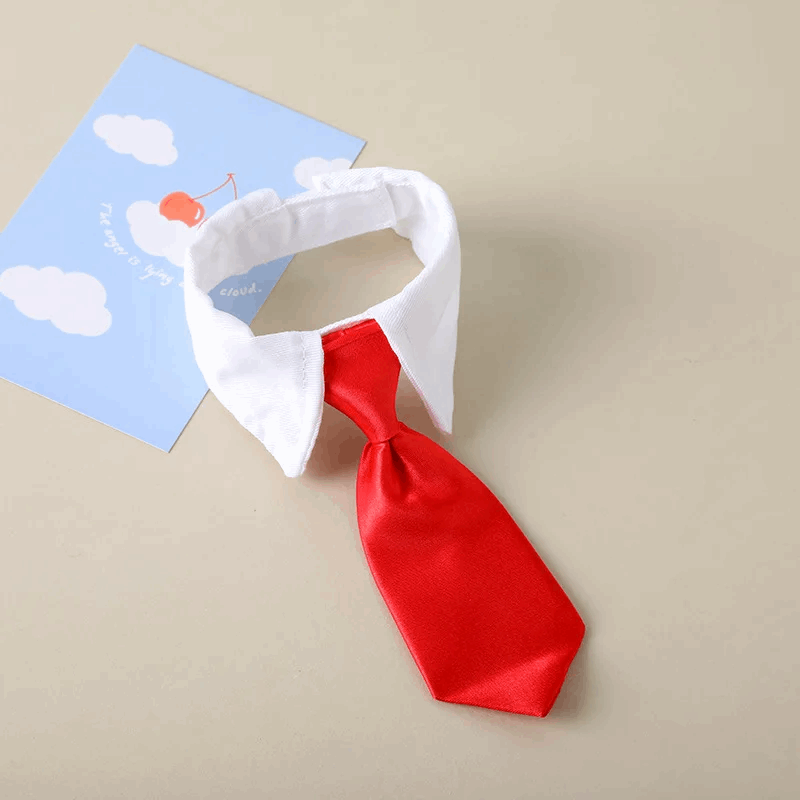 collier pour chat en forme de cravate - universmiaou