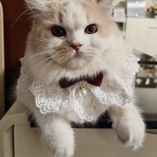 collier pour chat en perle de soie - universmiaou