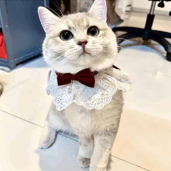 collier pour chat en perle de soie - universmiaou
