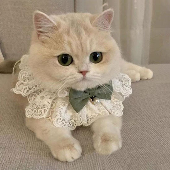 collier pour chat en perle de soie - universmiaou