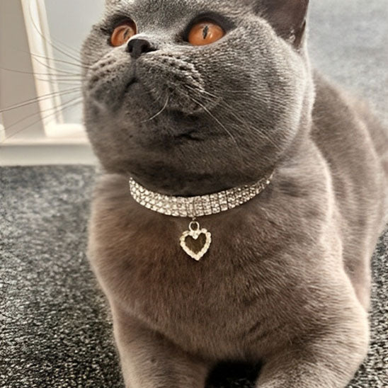 Collier pour chat en strass avec cœur - universmiaou