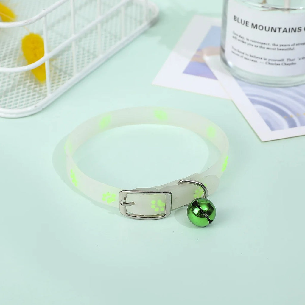 collier pour chat lumineux