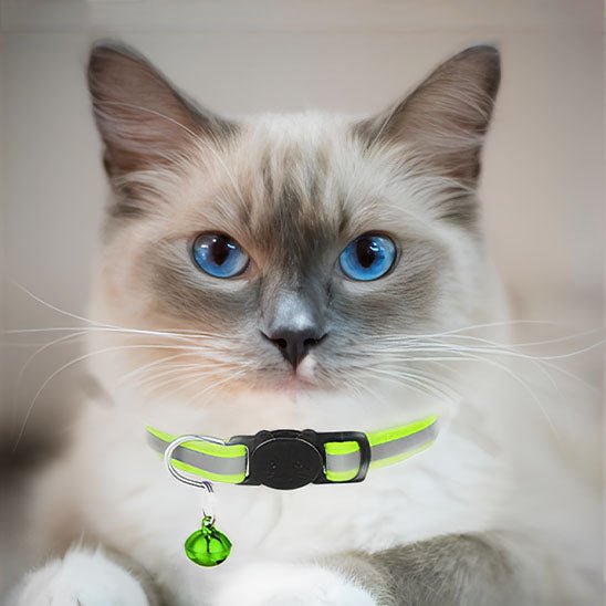 Collier réfléchissant pour chat avec cloche - universmiaou