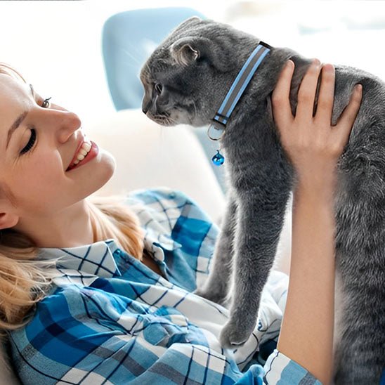 Collier réfléchissant pour chat avec cloche - universmiaou
