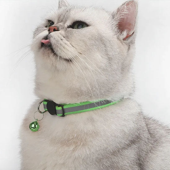 Collier réfléchissant pour chat avec cloche - universmiaou