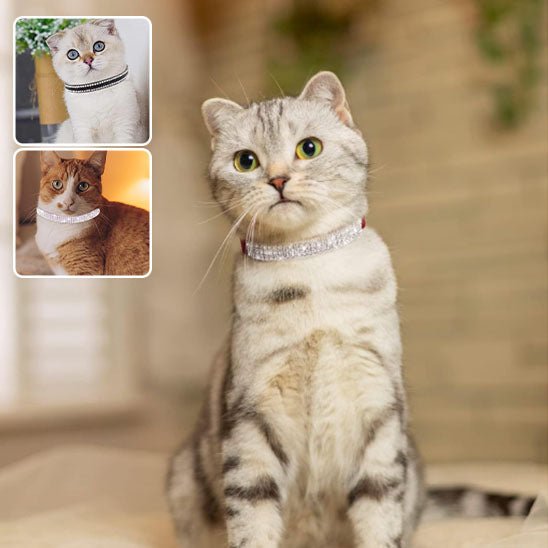 Collier réglable avec strass étincelants pour chats - universmiaou