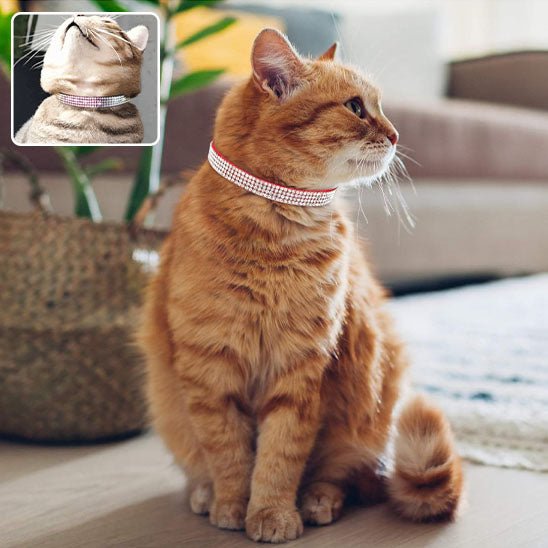 Collier réglable avec strass étincelants pour chats - universmiaou