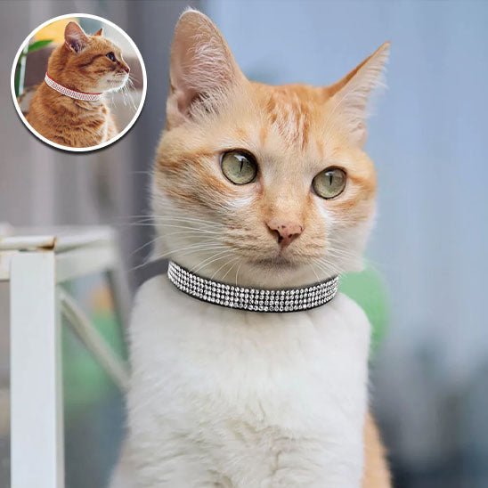 Collier réglable avec strass étincelants pour chats - universmiaou