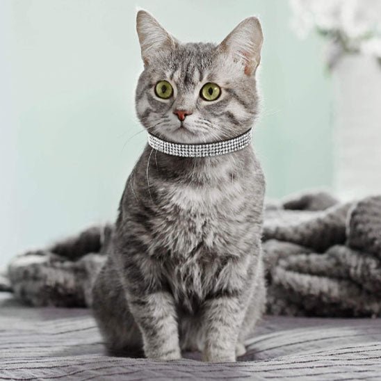 Collier réglable avec strass étincelants pour chats - universmiaou