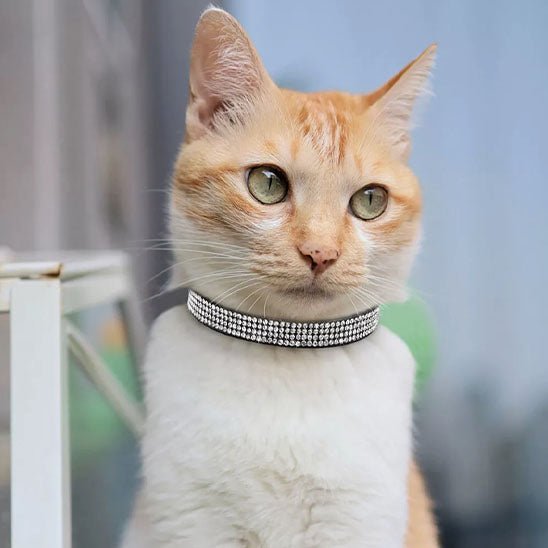 Collier réglable avec strass étincelants pour chats - universmiaou