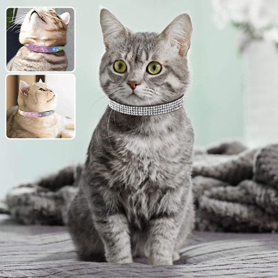 Collier réglable avec strass étincelants pour chats - universmiaou