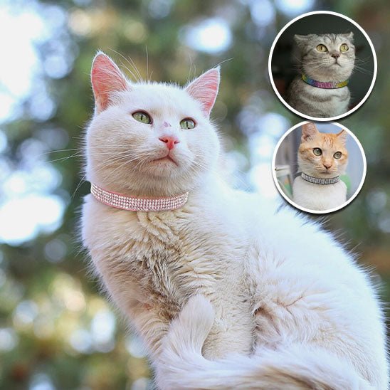 Collier réglable avec strass étincelants pour chats - universmiaou
