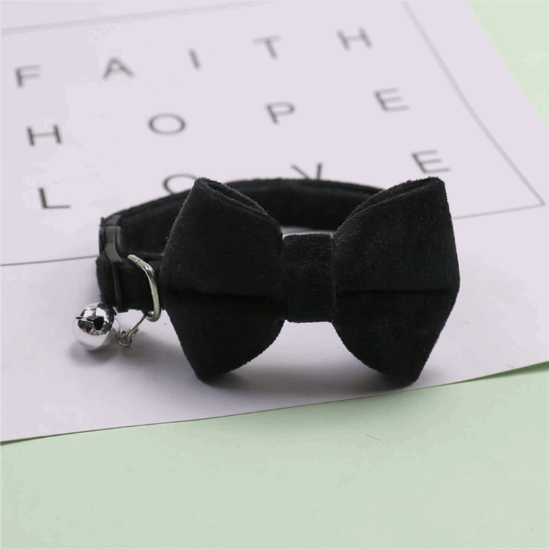 Collier velours en nœud pour chat - universmiaou