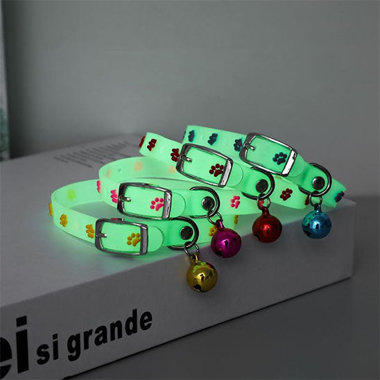 collier pour chat lumineux