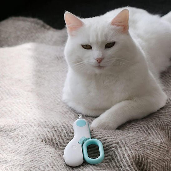 coupe griffe pour chat professionnel avec lumière LED - universmiaou
