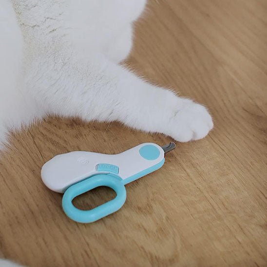 coupe griffe pour chat professionnel avec lumière LED - universmiaou