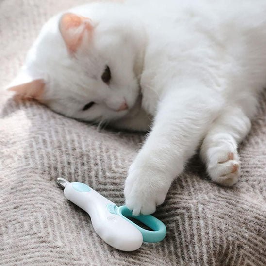 coupe griffe pour chat professionnel avec lumière LED - universmiaou