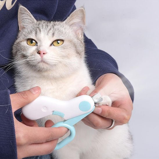 coupe griffe pour chat professionnel avec lumière LED - universmiaou