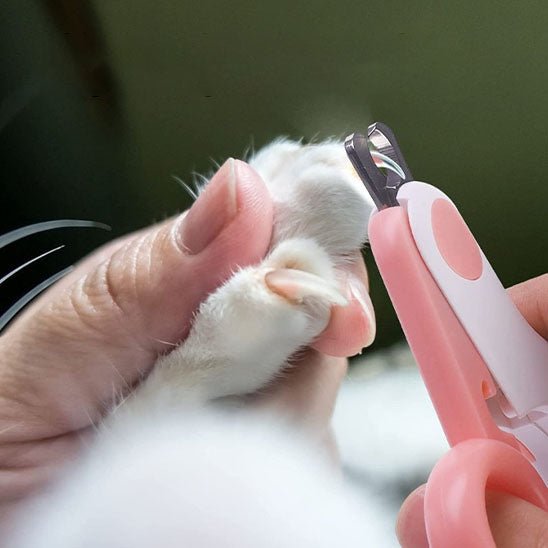 coupe griffe pour chat professionnel avec lumière LED - universmiaou