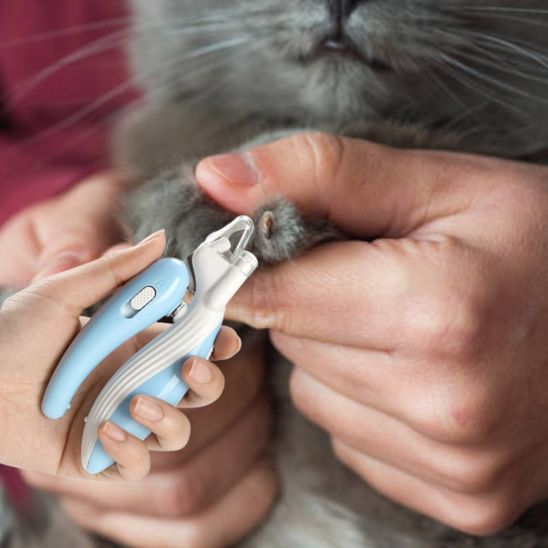 Coupe griffe pour chat - universmiaou
