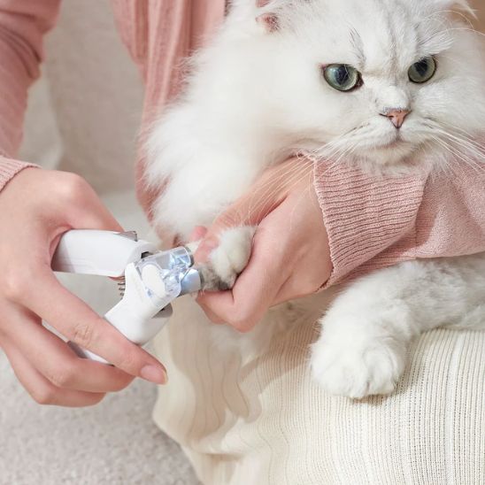 Coupe griffe pour chat - universmiaou