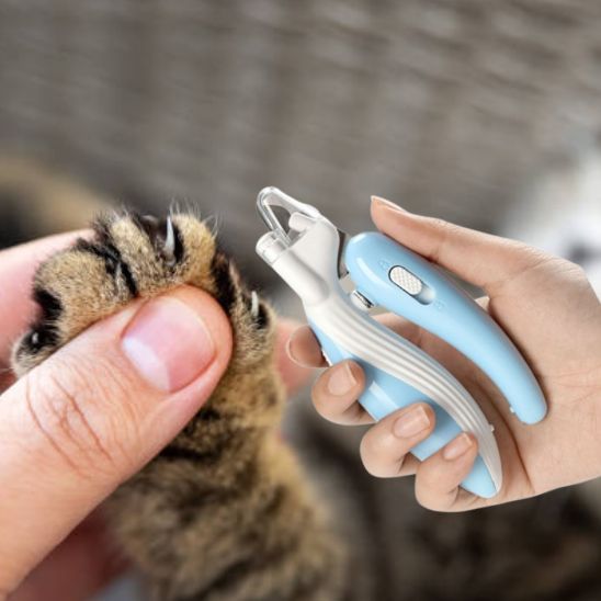 Coupe griffe pour chat - universmiaou