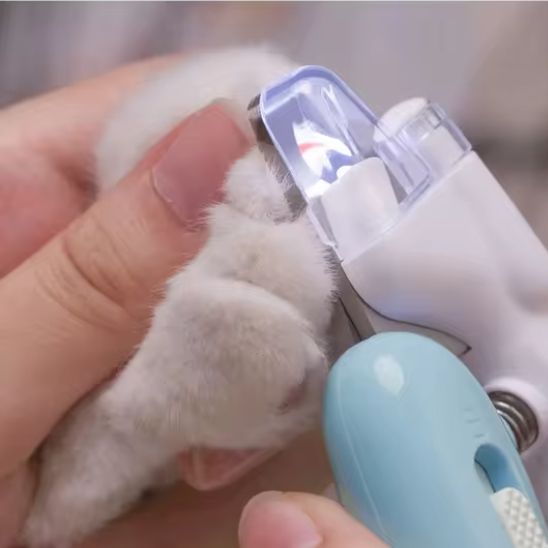 Coupe griffe pour chat - universmiaou
