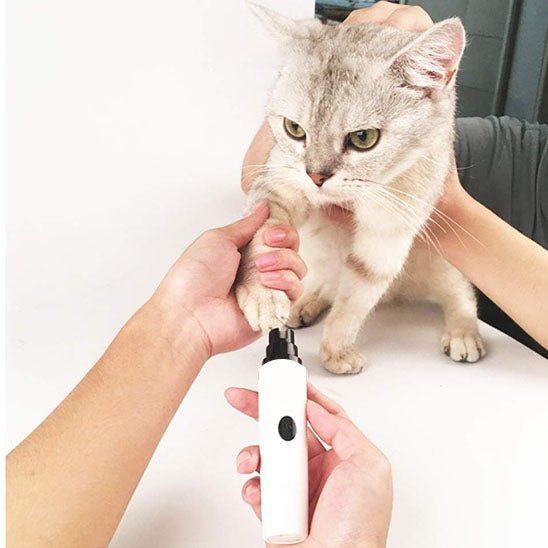 coupe griffes pour chat électrique et silencieux - universmiaou