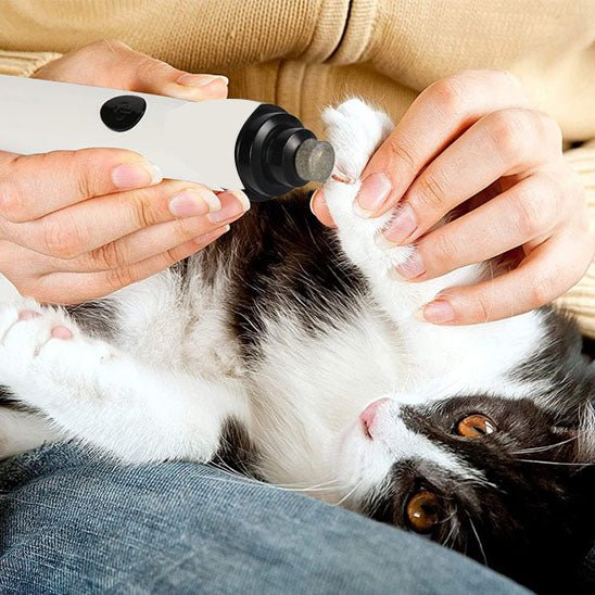coupe griffes pour chat électrique et silencieux - universmiaou