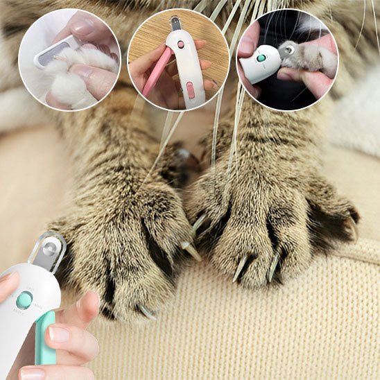 coupe griffes pour chat - universmiaou