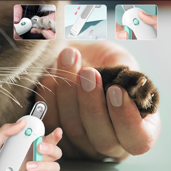 coupe griffes pour chat - universmiaou
