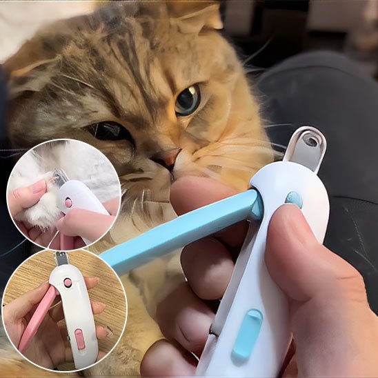 coupe griffes pour chat - universmiaou
