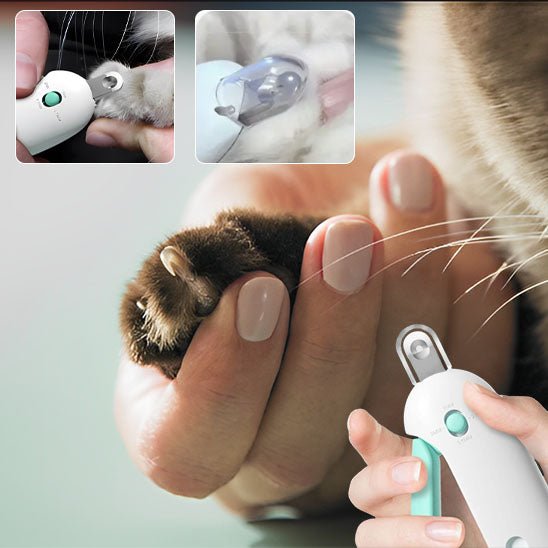 coupe griffes pour chat - universmiaou