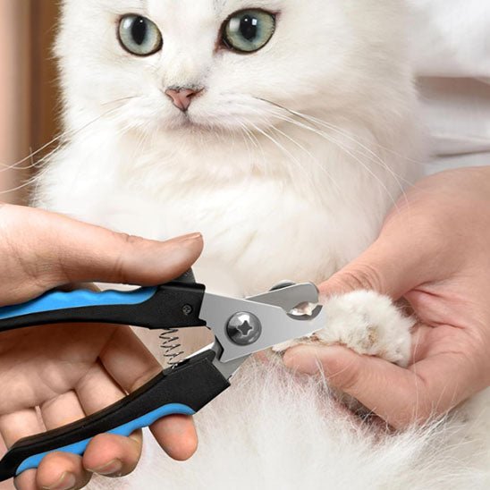 coupe ongles pour chat - universmiaou