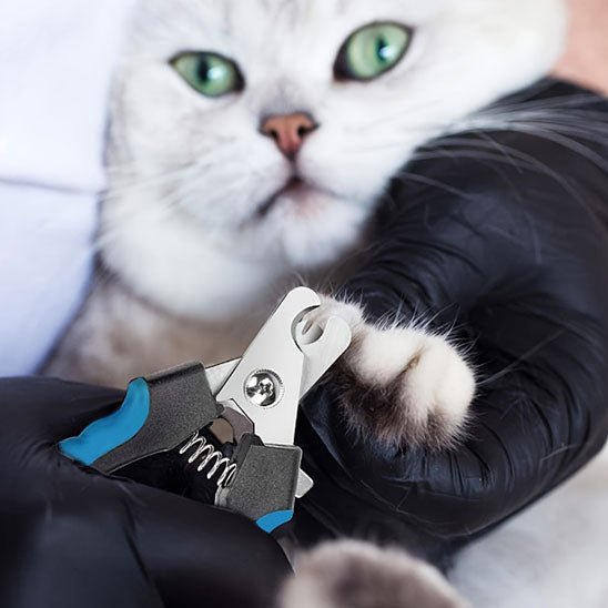 coupe ongles pour chat - universmiaou