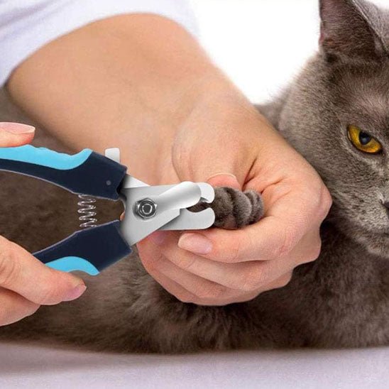 coupe ongles pour chat - universmiaou