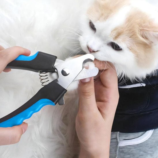 coupe ongles pour chat - universmiaou