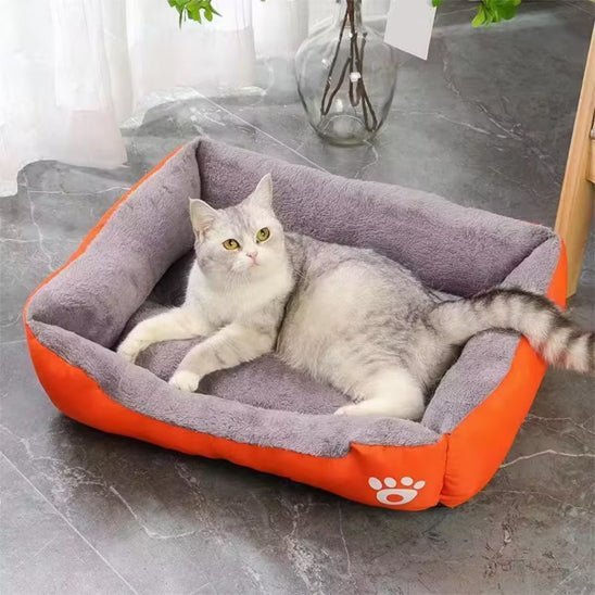 Coussin chat - universmiaou