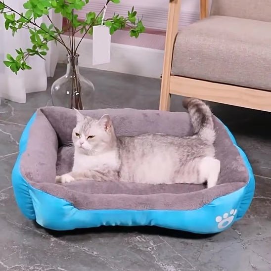 Coussin chat - universmiaou